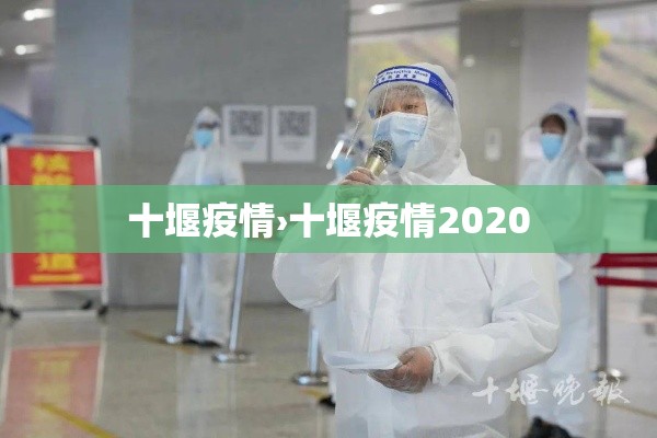 十堰疫情›十堰疫情2020