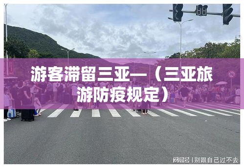 游客滞留三亚—(三亚旅游防疫规定) 游客滞留三亚—(三亚旅游防疫规定)