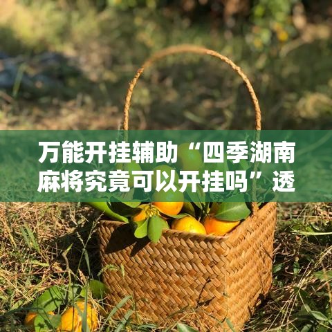 万能开挂辅助“四季湖南麻将究竟可以开挂吗”透视开挂辅助教程