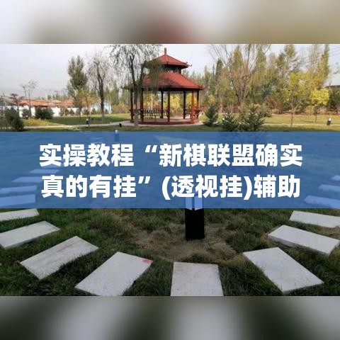 实操教程“新棋联盟确实真的有挂”(透视挂)辅助透视教程