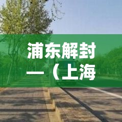 浦东解封—（上海浦东小区解封）
