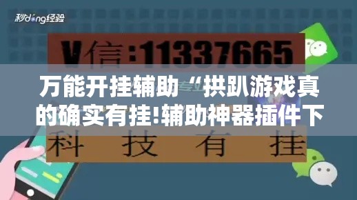 万能开挂辅助“拱趴游戏真的确实有挂!辅助神器插件下载