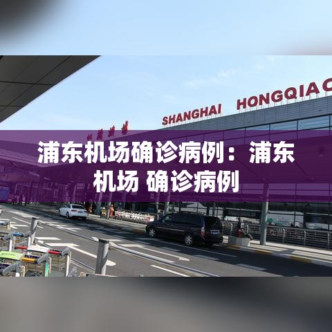 浦东机场确诊病例：浦东机场 确诊病例