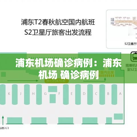 浦东机场确诊病例：浦东机场 确诊病例
