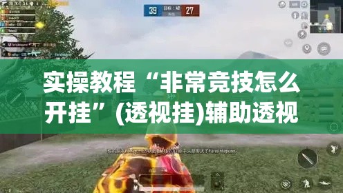 实操教程“非常竞技怎么开挂	”(透视挂)辅助透视教程
