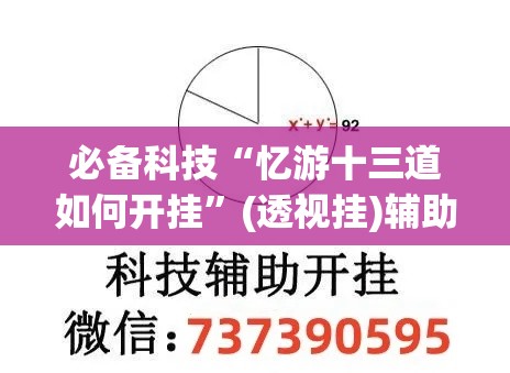 必备科技“忆游十三道如何开挂”(透视挂)辅助透视教程