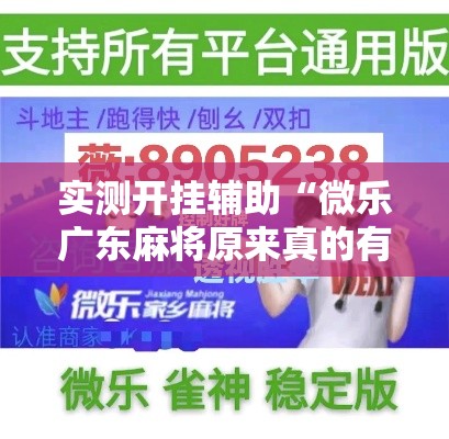 实测开挂辅助“微乐广东麻将原来真的有挂”科技辅助神器手机版教程