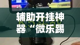 辅助开挂神器“微乐踢坑透视挂下载”科技辅助神器手机版教程