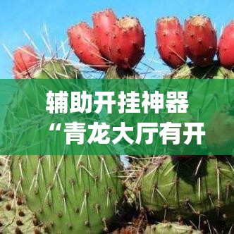 辅助开挂神器“青龙大厅有开挂工具吗(辅助神器)开挂详细教程