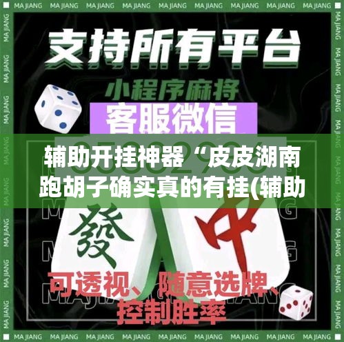 辅助开挂神器“皮皮湖南跑胡子确实真的有挂(辅助神器)开挂详细教程