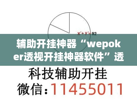 辅助开挂神器“wepoker透视开挂神器软件”透视开挂辅助教程