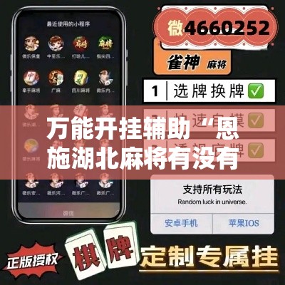 万能开挂辅助“恩施湖北麻将有没有挂”科技辅助神器手机版教程