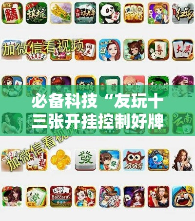 必备科技“友玩十三张开挂控制好牌器”科技辅助神器手机版教程