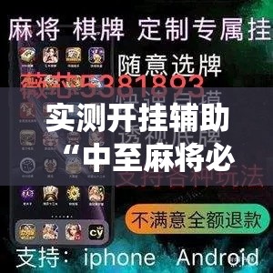 实测开挂辅助“中至麻将必赢套路”(透视挂)辅助透视教程