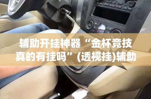 辅助开挂神器“金杯竞技真的有挂吗”(透视挂)辅助透视教程