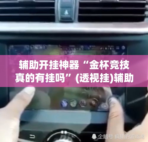 辅助开挂神器“金杯竞技真的有挂吗	”(透视挂)辅助透视教程