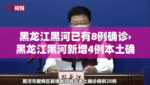 黑龙江黑河已有8例确诊›黑龙江黑河新增4例本土确诊行动轨迹