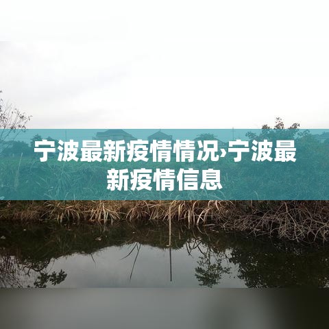 宁波最新疫情情况›宁波最新疫情信息 宁波最新疫情情况›宁波最新疫情信息