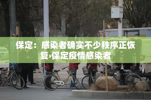 保定：感染者确实不少秩序正恢复›保定疫情感染者