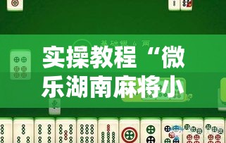实操教程“微乐湖南麻将小程序必赢神器免费”科技辅助神器手机版教程