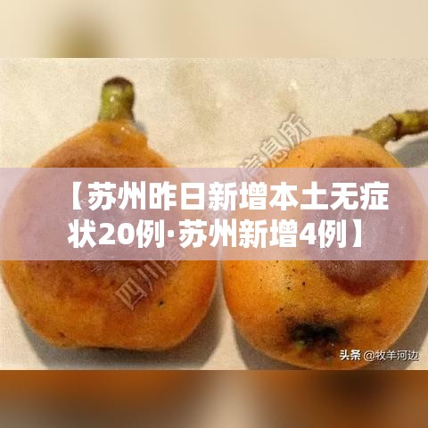 【苏州昨日新增本土无症状20例·苏州新增4例】