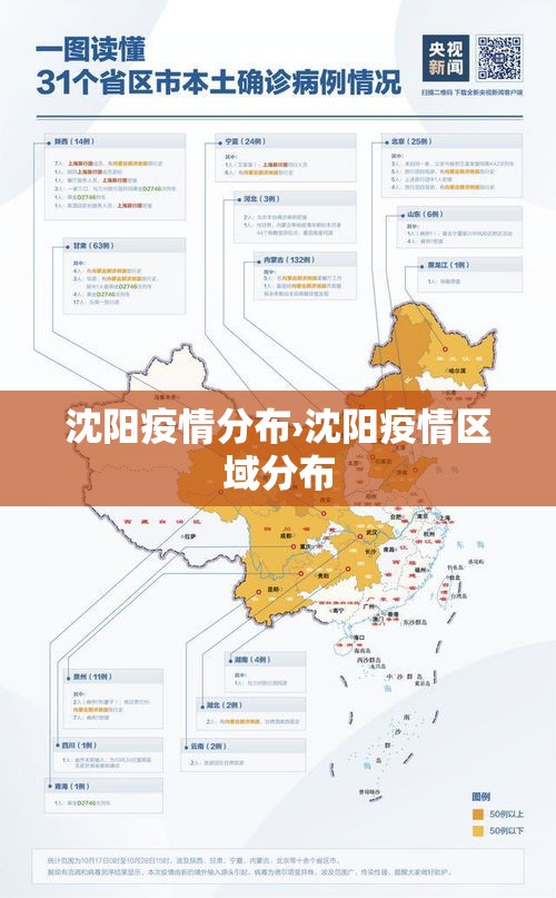 沈阳疫情分布›沈阳疫情区域分布