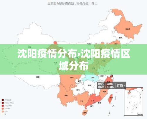 沈阳疫情分布›沈阳疫情区域分布