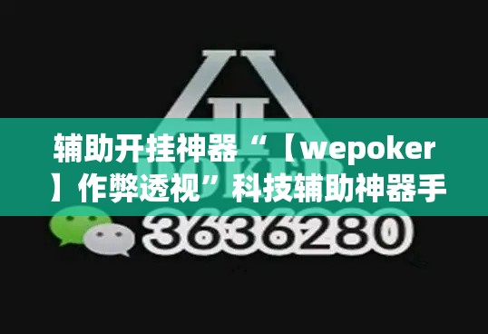 辅助开挂神器“【wepoker】作弊透视”科技辅助神器手机版教程