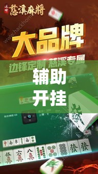 辅助开挂神器“边锋陕西麻将开挂视频教程”透视开挂辅助教程