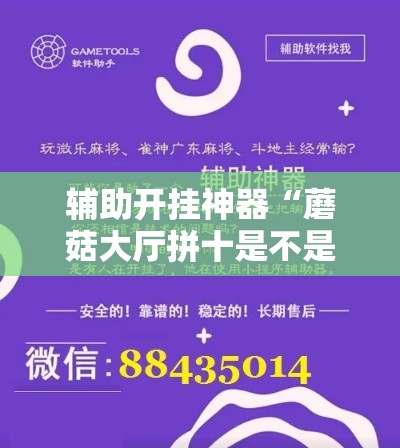 辅助开挂神器“蘑菇大厅拼十是不是有透视辅助挂!辅助神器插件下载 辅助开挂神器“蘑菇大厅拼十是不是有透视辅助挂!辅助神器插件下载