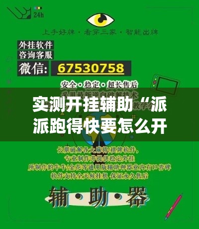 实测开挂辅助“派派跑得快要怎么开挂(辅助神器)开挂详细教程 实测开挂辅助“派派跑得快要怎么开挂(辅助神器)开挂详细教程