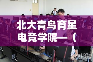 北大青鸟育星电竞学院—(北大青鸟育星电竞学院官网) 北大青鸟育星电竞学院—(北大青鸟育星电竞学院官网)