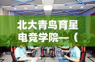 北大青鸟育星电竞学院—(北大青鸟育星电竞学院官网) 北大青鸟育星电竞学院—(北大青鸟育星电竞学院官网)