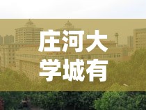 庄河大学城有几所大学—（庄河大学城地址学府大街）