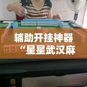 辅助开挂神器“星星武汉麻将究竟有透视挂吗”透视开挂辅助教程