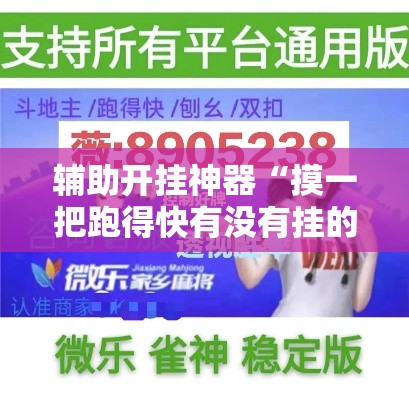 辅助开挂神器“摸一把跑得快有没有挂的”透视开挂辅助教程