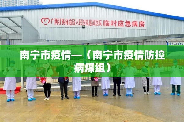 南宁市疫情—（南宁市疫情防控病煤组）