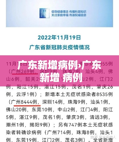 广东新增病例›广东 新增 病例