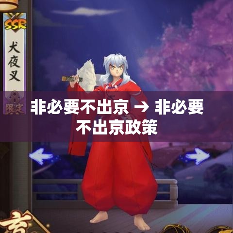 非必要不出京 → 非必要不出京政策