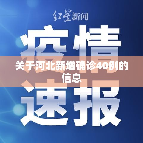 关于河北新增确诊40例的信息