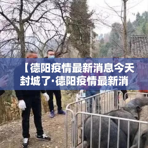 【德阳疫情最新消息今天封城了·德阳疫情最新消息今天封城了没】