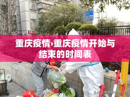 重庆疫情›重庆疫情开始与结束的时间表