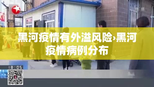 黑河疫情有外溢风险›黑河疫情病例分布