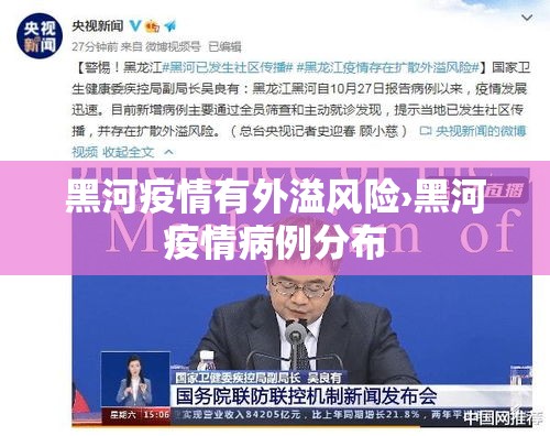 黑河疫情有外溢风险›黑河疫情病例分布