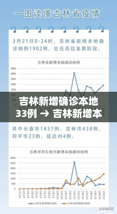 吉林新增确诊本地33例 → 吉林新增本土确诊46例