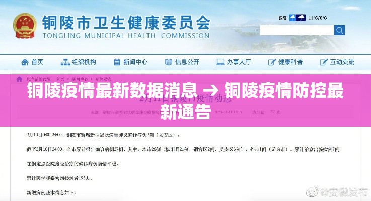 铜陵疫情最新数据消息 → 铜陵疫情防控最新通告