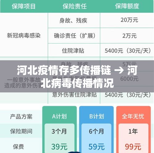 河北疫情存多传播链 → 河北病毒传播情况