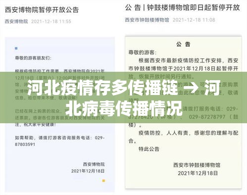 河北疫情存多传播链 → 河北病毒传播情况