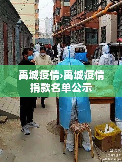 禹城疫情›禹城疫情捐款名单公示