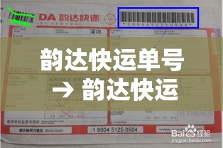 韵达快运单号 → 韵达快运单号物流追踪查询